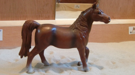 Fyenna is een prachtig paard. Ze zit heerlijk in de galop, en is een van de snelste. Ze is heel lief, maar af en toe daagt ze je wel uit. Een geweldig paard!